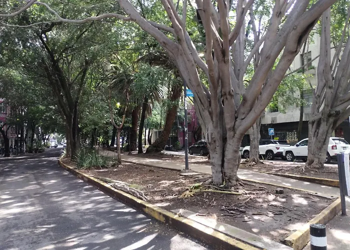 Condesa Vs9 Apartamento México DF