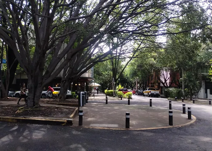 Condesa Vs9 México DF
