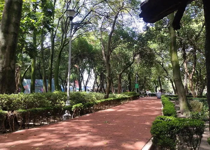 Apartamento Condesa Vs9