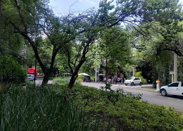 Condesa Vs9 * México DF