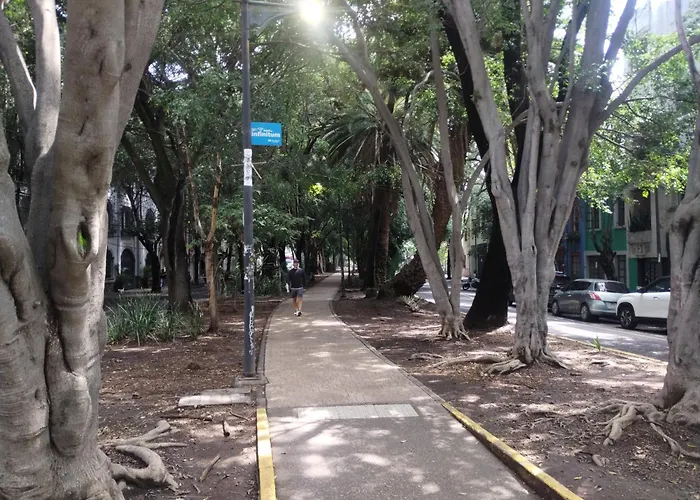 Condesa Vs9 Apartamento *